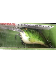 DT 06 color Baby Bass