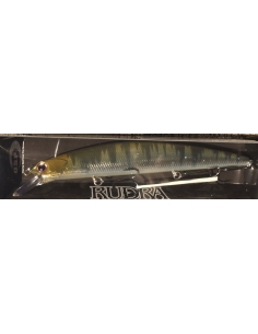Rudra 130 SP color H68 Metal Oikawa