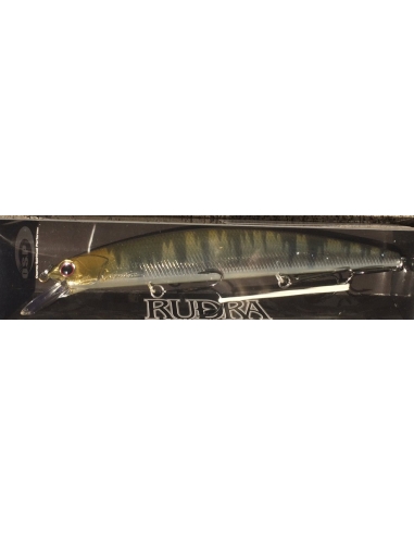 Rudra 130 SP color H68 Metal Oikawa
