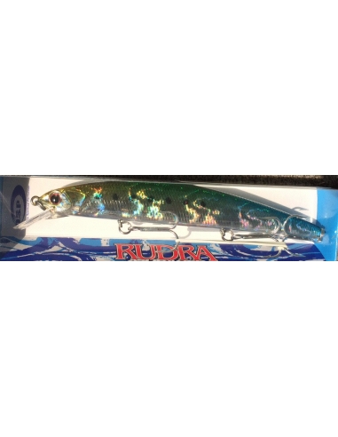 Rudra 130 Sinking color HS38 YGB Sardine