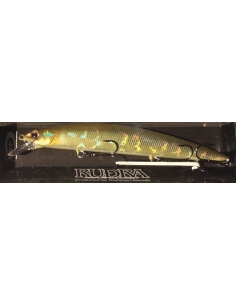 Rudra 130 SP Japan color H76-Kinrin