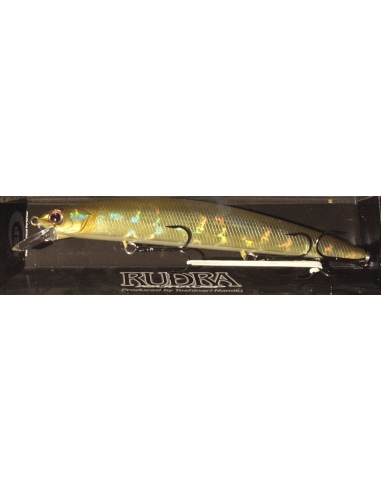 Rudra 130 SP Japan color H76-Kinrin