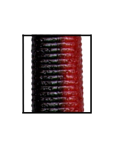 Lizard 7" color 900 red shad laminado