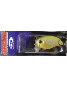 Daibuzzn´ color Pearl Chart Back
