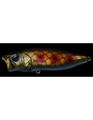 Pop Max color Genroku