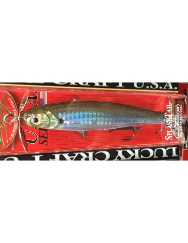 Splash Tail color MS Spanish Alburno