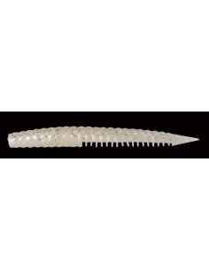 Sidus 120 color White Shad