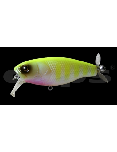 Buzz Jet color Chart Oikawa