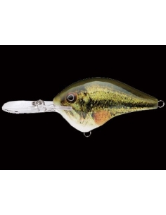 DT 10 color Live Largemouth Bass