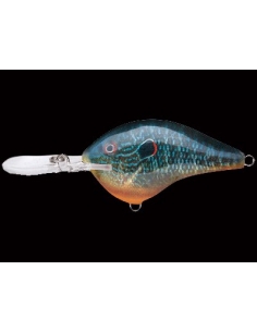 DT 10 color Live Pumpkinseed