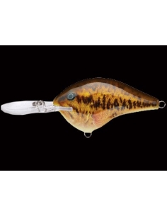 DT 04 color Live Smallmouth Bass