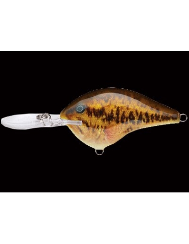 DT 04 color Live Smallmouth Bass
