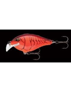 Scatter Rap Crank color Demon