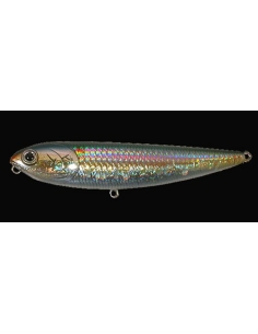 Sammy 100 color MS American Shad