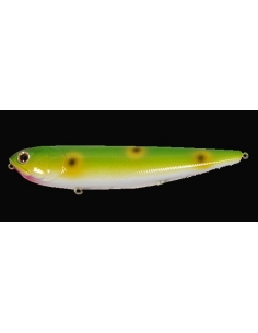 Sammy 100 color Frog