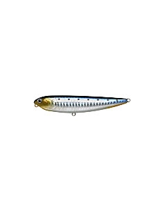 Sammy 100 color Zebra Sardine