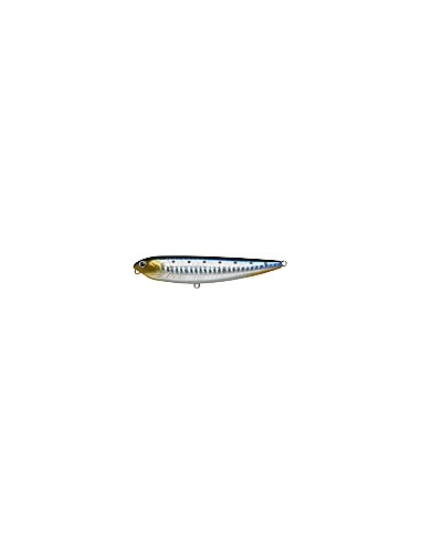 Sammy 100 color Zebra Sardine