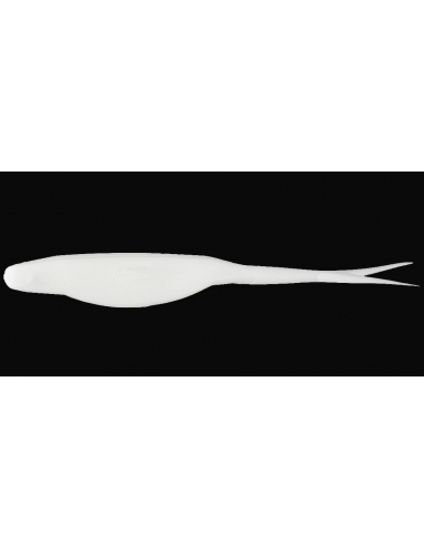 Super Fluke color White