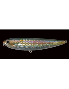 Sammy 85 color MS American Shad