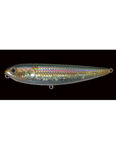 Sammy 85 color MS American Shad