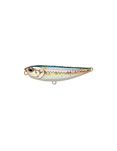 Sammy 65 MS American Shad