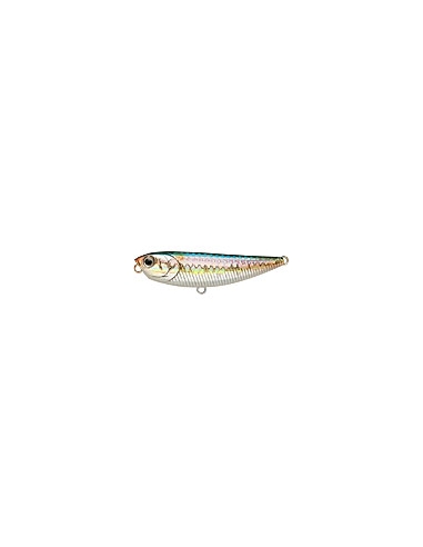 Sammy 65 MS American Shad