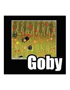 Shad Shape Worm 3 3/4" color 967 Goby