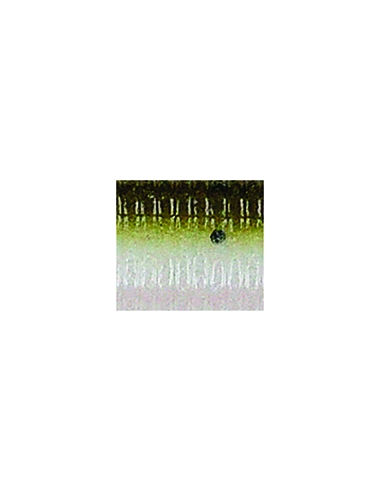 Senko 5" color 981 Green Pumpkin White Laminated