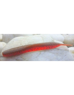 Sexy Impact 4,8" color Scuppernong Red