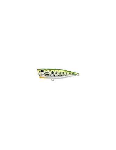 G-Splash color Aurora Bass
