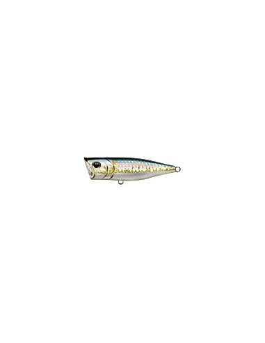 G-Splash color MS American Shad