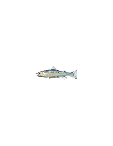 Real Bait Premiun color MS American Shad