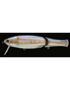 Real California color MS American Shad