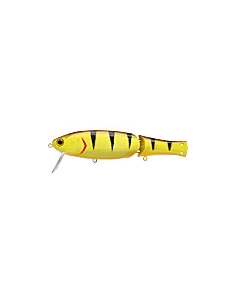 Real Bait color Tiger Perch