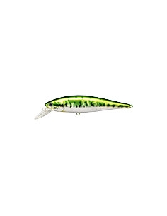 Pointer 100 color Aurora Bass