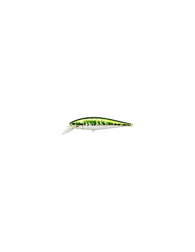 Pointer 100 color Aurora Bass