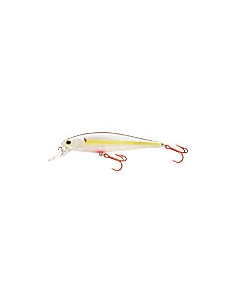 Pointer 100 color Serie "sangrienta" Chartreuse Shad