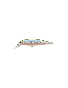 Pointer 100 color MS MJ Herring