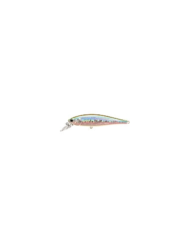 Pointer 100 color MS MJ Herring