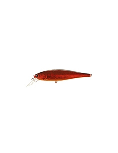 Pointer 100 color Aurora Craw