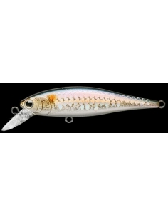 Pointer 100 color SW MS American Shad