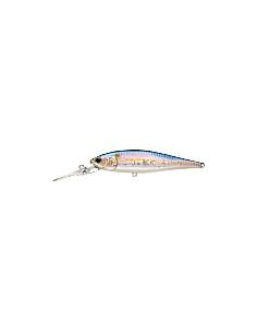 Pointer 100DD color MS American Shad