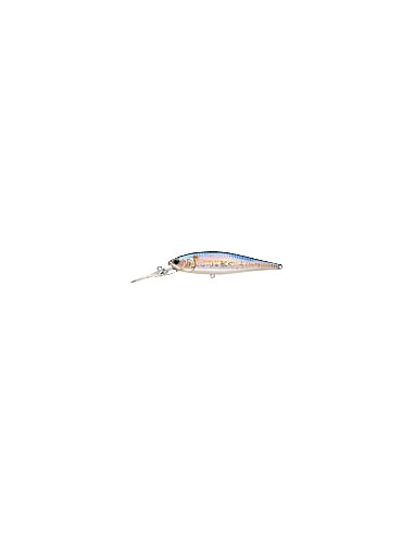 Pointer 100DD color MS American Shad