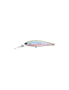Pointer 100DD color MS MJ Herring