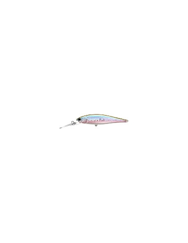 Pointer 100DD color MS MJ Herring
