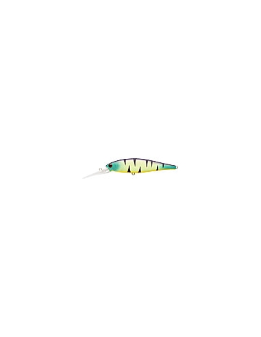 Pointer 100DD color Mat Tiger