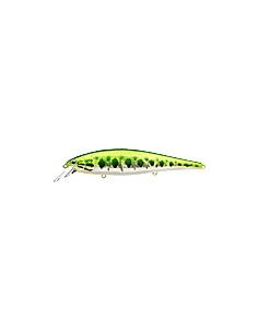 Pointer 128 color Aurora Bass