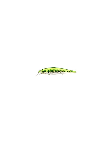 Pointer 128 color Aurora Bass