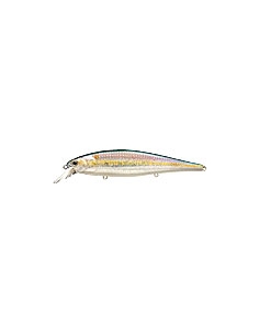 Pointer 128 color MS American Shad
