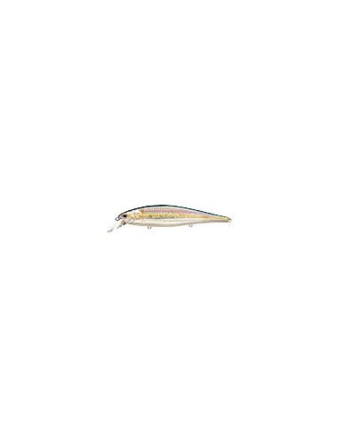Pointer 128 color MS American Shad